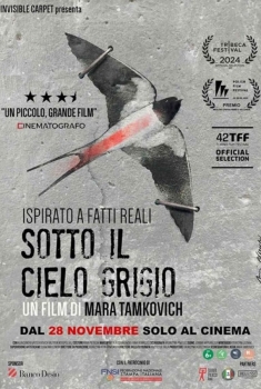 Sotto il Cielo Grigio (2024)